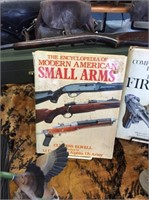 Modern American small arms