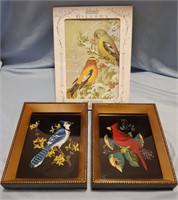 Hand Colored Birds on Glass & Prints