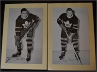 Beehive Hockey Photos - Sloan & Timgren
