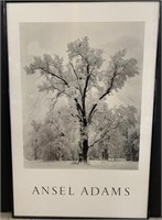 Ansel Adams Framed Art