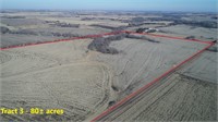 Tract 3: 80 +- Acres