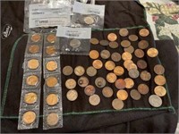 Bag of Miscellaneous Pennies & Nickels