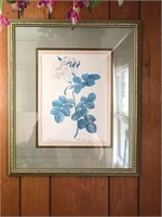 Pair Framed Floral Prints
