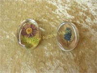 Two Petite Glass Botanical Paper Weights