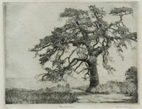 DON SWANN (1889-1954) 'THE OLD PINE' ETCHING