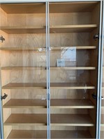 2 Door Glass Bookshelf