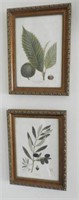 Set of (4) framed florals in gold frames 10”x13"