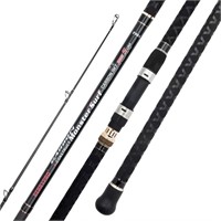 BERRYPRO Surf Spinning Fishing Rod