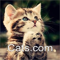 CATS.com