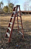 Orange Step Ladder