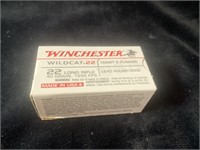Winchester Wildcat 22
