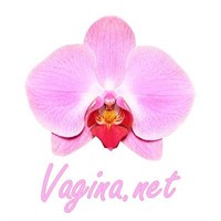 Vagina.net