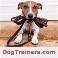 DogTrainers.com