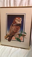 Framed Bellinger Owl Print 20x16