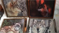 4 Framed Wolf Pictures approx 9x12