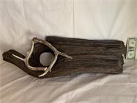 DRIFT WOOD & HORNS TABLE CENTER PIECE 31" LONG