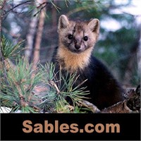 Sables.com