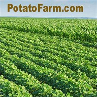 PotatoFarm.com
