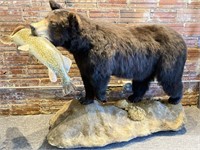 Full Black Bear mount with Pike