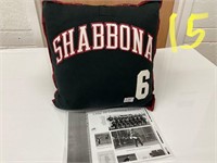 Softball Jersey Pillow