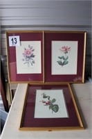 (3) 17x21" Matted & Framed Assorted Floral Prints
