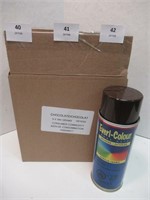 NEW Evri Colour Spray Paint - Brown