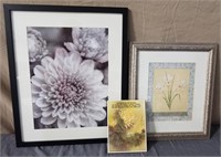 Floral Framed Pictures