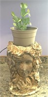 Succulent plant /4 faced cement pot