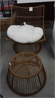 Designer Indoor/Outdoor Chair