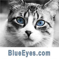 BlueEyes.com