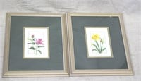 2 Framed Floral Prints 14x12"