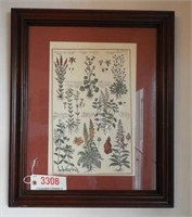 Framed print of plants 32” x 28”