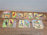 Vintage Game Bird Series#14,18,8,29,16,5,1,4,27,30
