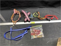 Dog Items - Leashes, bark collar