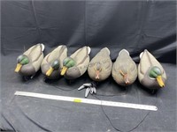 6 - 60/40 Snap-Lock Mallard Duck Decoys w/ weights