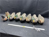 8 - 60/40 Snap-Lock Mallard Duck Decoys w/ weights