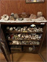 Large Group of Collectible Rocks and Shells