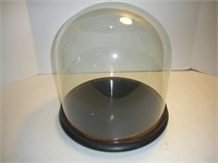 Glass Display Dome,12x13