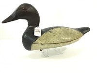 Oversized Canvasback Drake by Roy