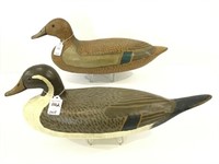 Pair of Pintails-Drake &  Hen by