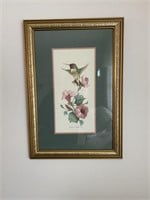 Set of 2 Caroline Wright Hummingbird Prints