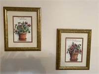 Pair of Framed Botanical Prints