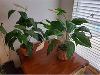 2 Artificial Plants