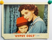 Movie Lobby Card, Gypsy Colt.