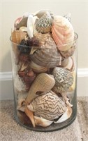 Glass Jar Full of Seashells