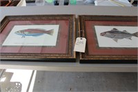 Pair of framed fish artwork