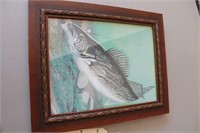 Framed fish artwork