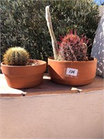 2 Terra Cotta Planters / Barrel Cactus
