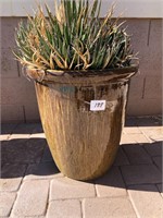Ceramic Green Planter / Aloe Vera