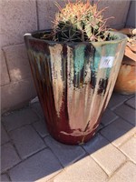 Ceramic Planter / Barrel Cactus +